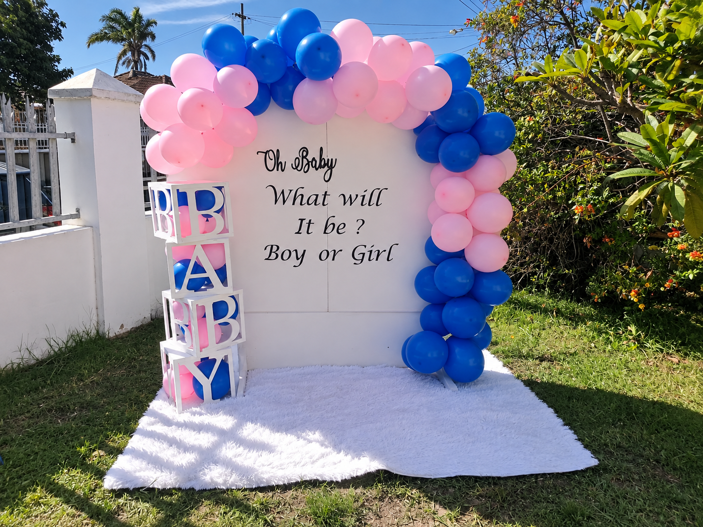 Gender reveals setup